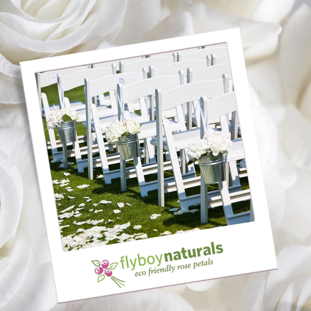 2000+ Freeze-Dried Ivory Rose Petals (60 Cups) - Premium Wedding Decor by Flyboy Naturals | Perfect for Aisle Scattering, Table Centerpieces & Romantic Events