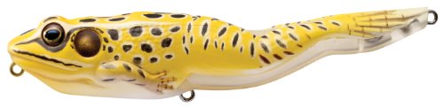 Yellow/Black