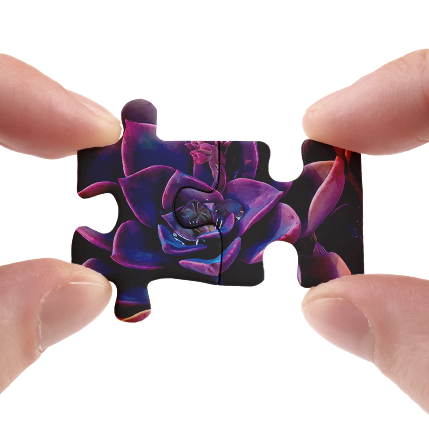 1000-Piece Impossible Purple Succulent Jigsaw Puzzle - Challenging Adult Puzzle with Vibrant Plant Design - Perfect for Stress Relief, Family Game Night & Home Decor