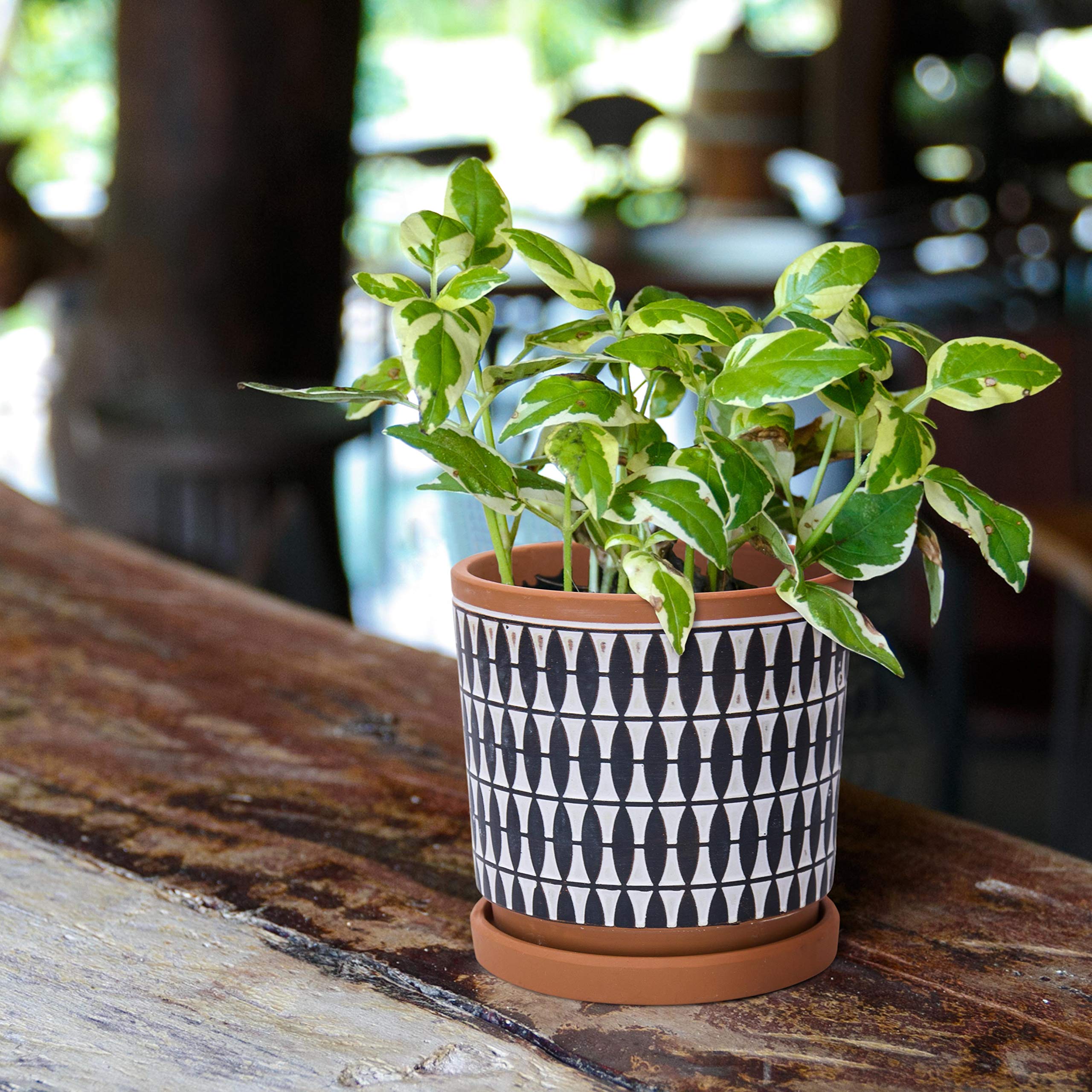 D'vine Dev Set of 2 Terracotta Plant Pots - 6.5