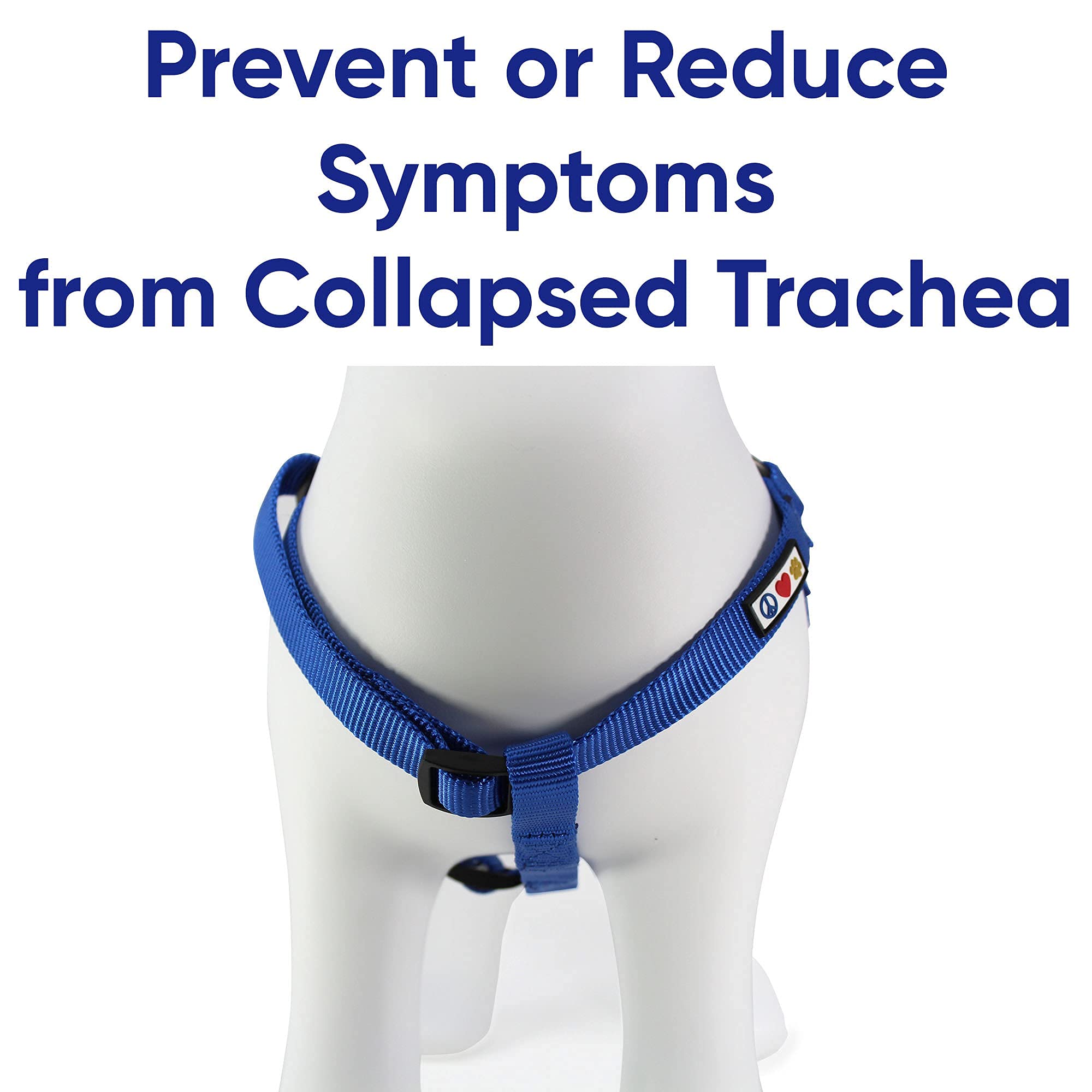 Pawtitas Extra Small Dog Harness and Collar Set - Blue | Adjustable Pet Safety Gear for Small Dogs | Perfect for Walking, Training, and Outdoor Adventures