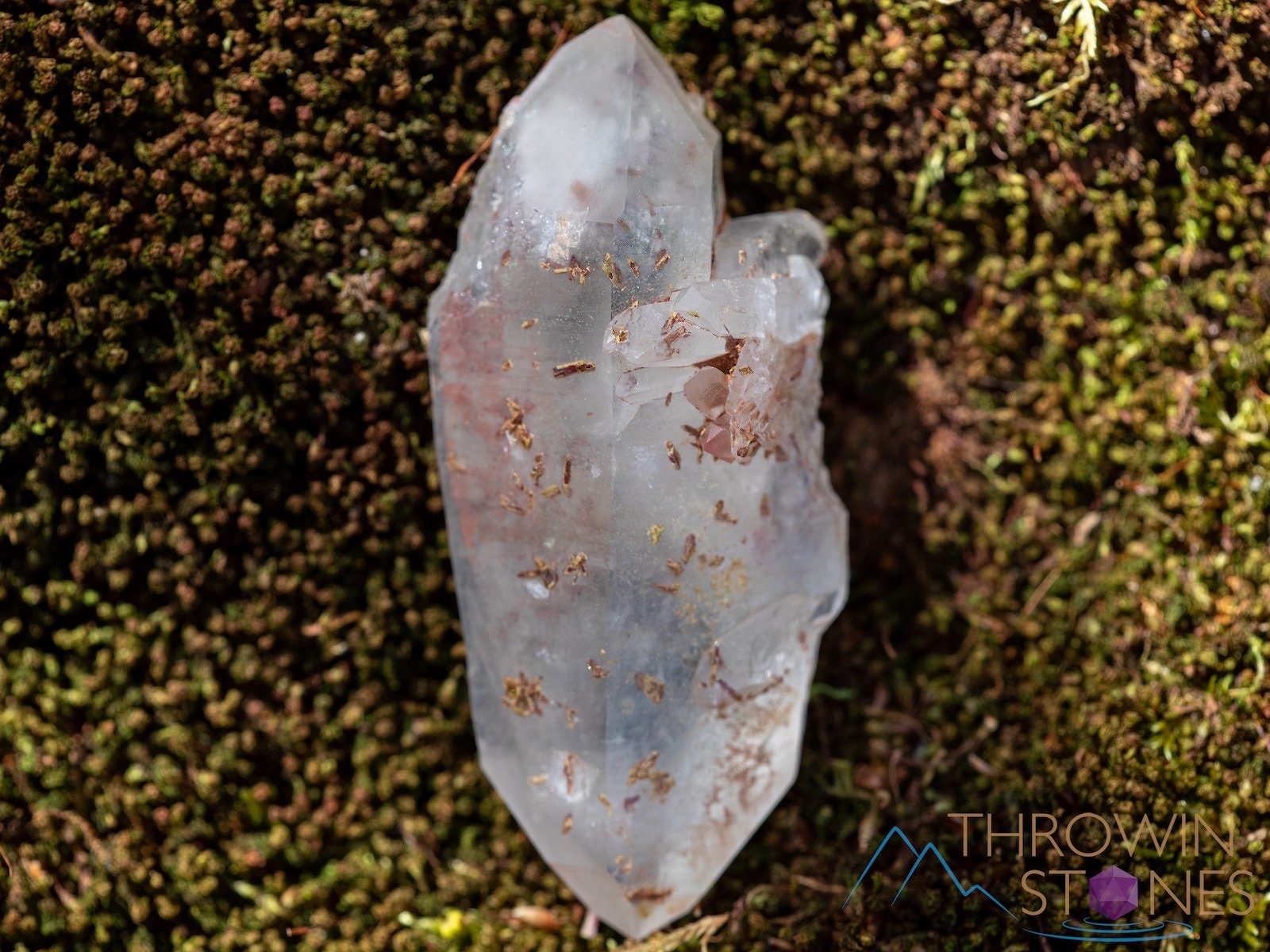 Natural Raw Quartz Crystal Point with Epidote Inclusions - Healing Stone for Home Decor, Housewarming Gift, Meditation & Energy Work (39906) | Perfect for Crystal Grids, Altars & Spiritual Spaces