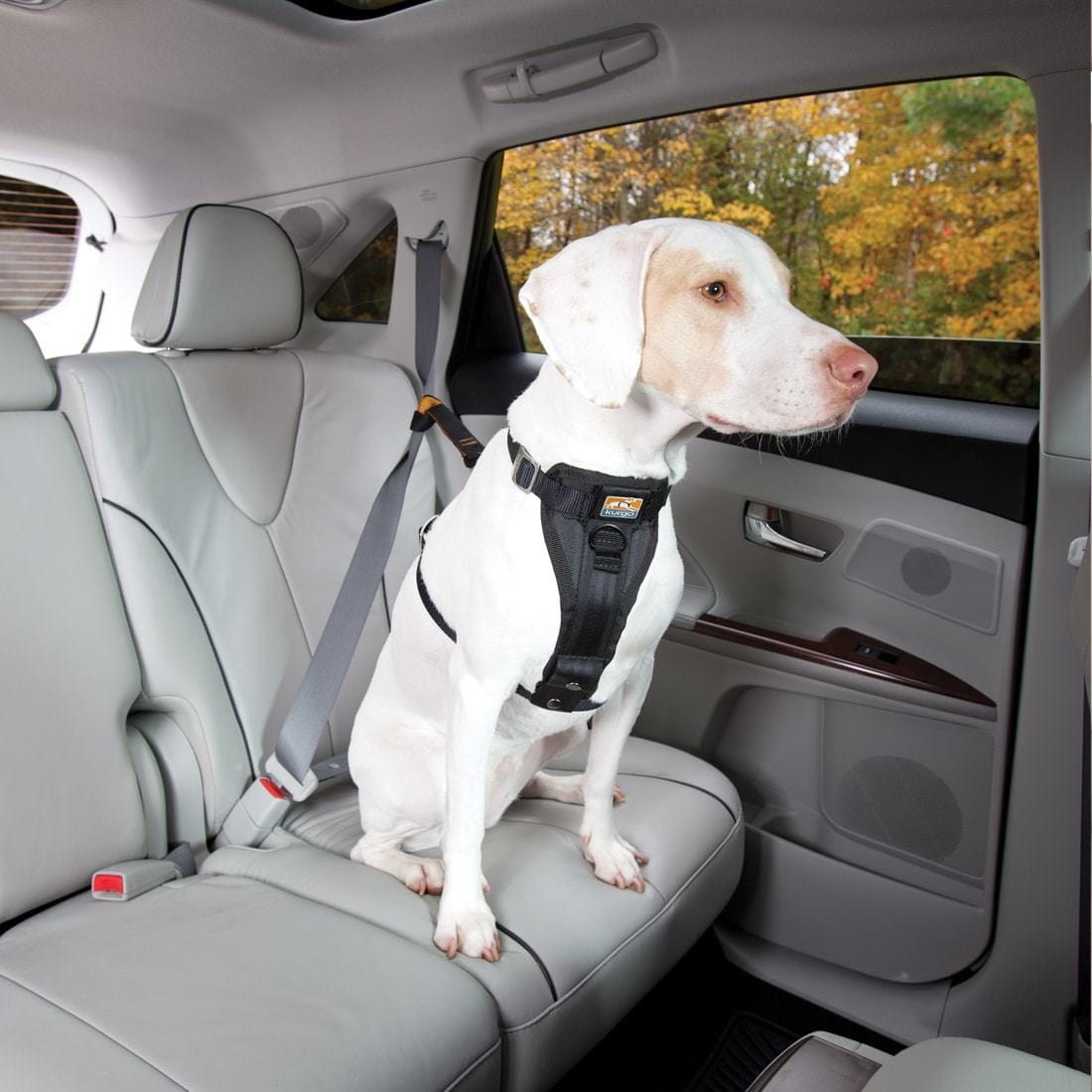 Kurgo Enhanced Strength Tru-Fit Extra Small Dog Car Harness - Safe & Comfortable Pet Travel Harness for Small Dogs - Perfect for Road Trips, Vet Visits & Outdoor Adventures