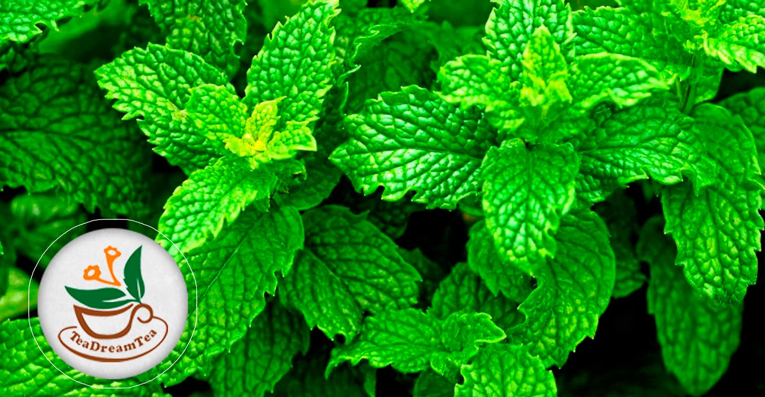Peppermint Tea Bags for Digestion - 200 Count Herbal Tea Bags | Caffeine-Free Mint Tea with Natural Aroma | Soothes Stomach Discomfort & Promotes Relaxation | Perfect for After Meals, Stress Relief & Bedtime Wellness