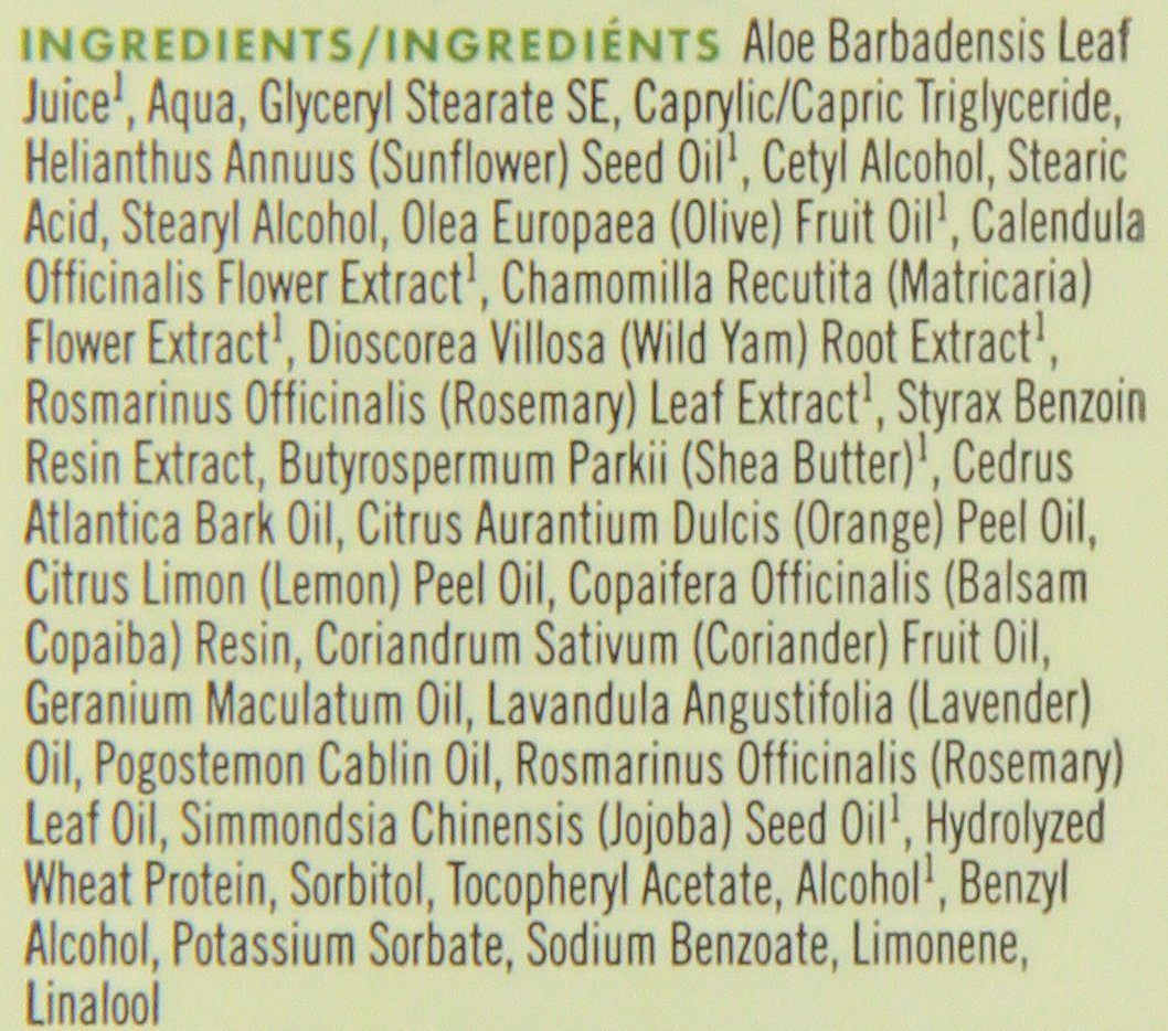 Avalon Organics Rosemary Conditioner - 11 Oz (Pack of 3) | Sulfate-Free, Vegan Hair Care for Dry & Damaged Hair - Perfect for Daily Use & Scalp Nourishment