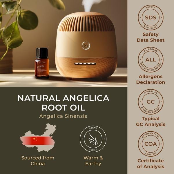 Gya Labs 100% Pure Angelica Root Essential Oil - 0.34 Fl Oz Natural Aromatherapy Oil for Diffusers, Skin Care, Hair Growth, DIY Candles & Massage - Earthy Herbal Scent for Relaxation, Stress Relief & Home Fragrance