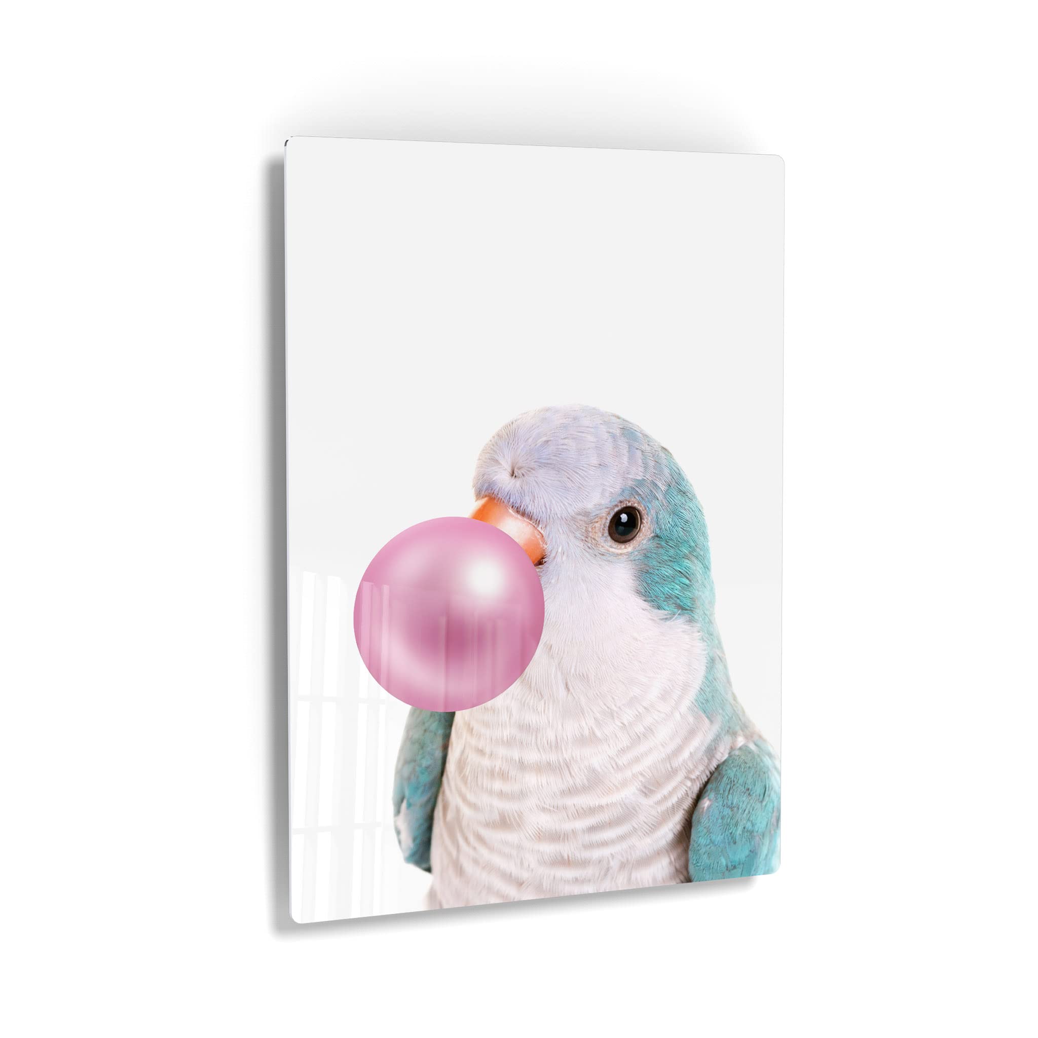 Smile Art Design Monk Parakeet Quaker Parrot Chewing Bubble Gum Metal Wall Art Print - Pet Bird Lover Gift, Animal Pop Art Decor for Living Room, Bedroom, Nursery (40x30 Inches) - Perfect for Home, Office & Kids Room Wall Decoration