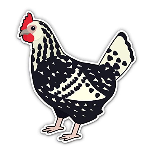 Hen Chicken Backyard Country Farm 3