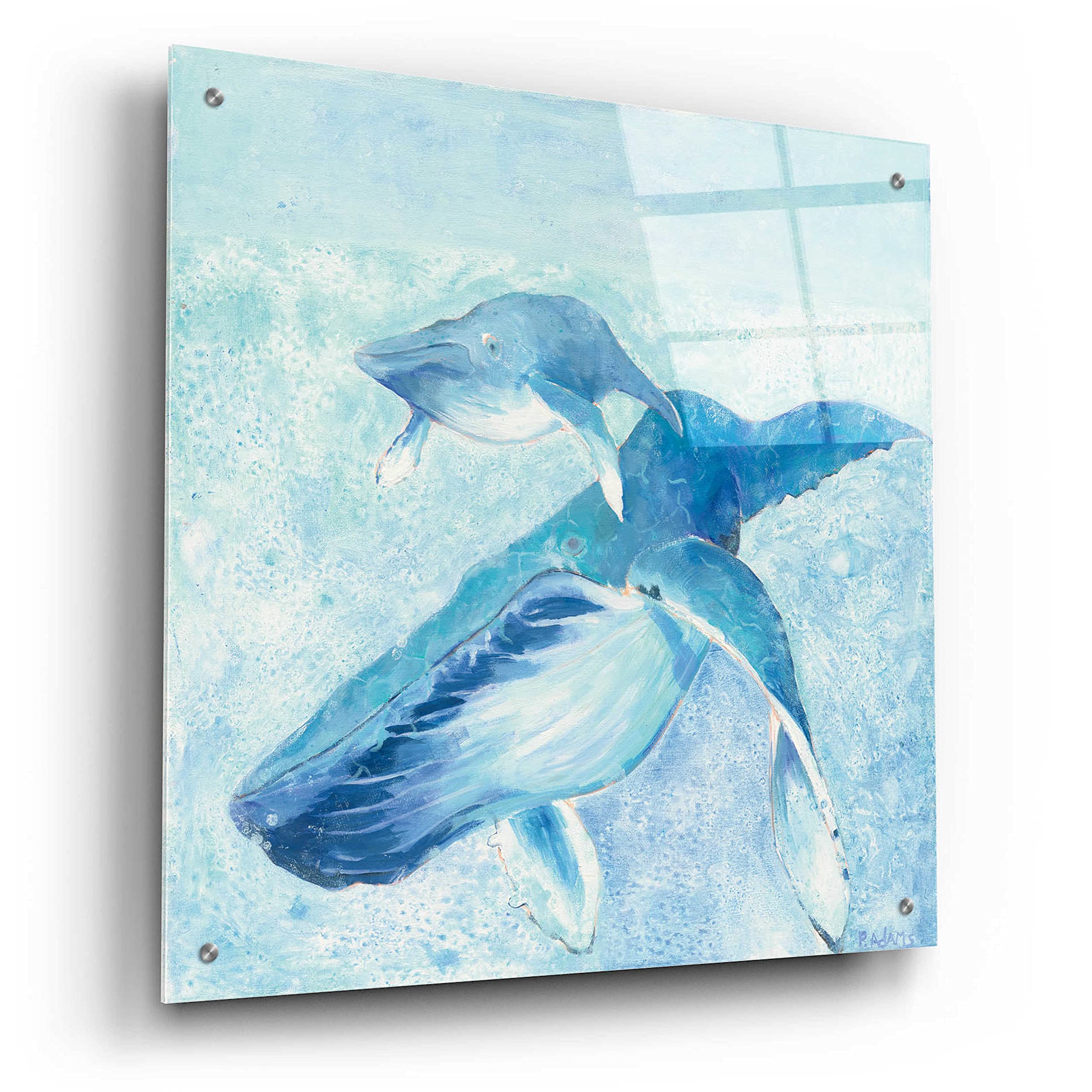 Blue Mama Acrylic Glass Wall Art by Phyllis Adams - 24x24 Inch Modern Abstract Painting for Living Room, Bedroom & Office Decor