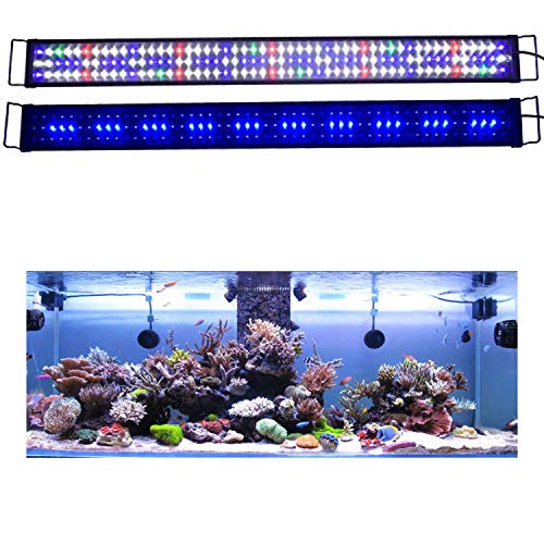 Full Spectrum 60-72 inch