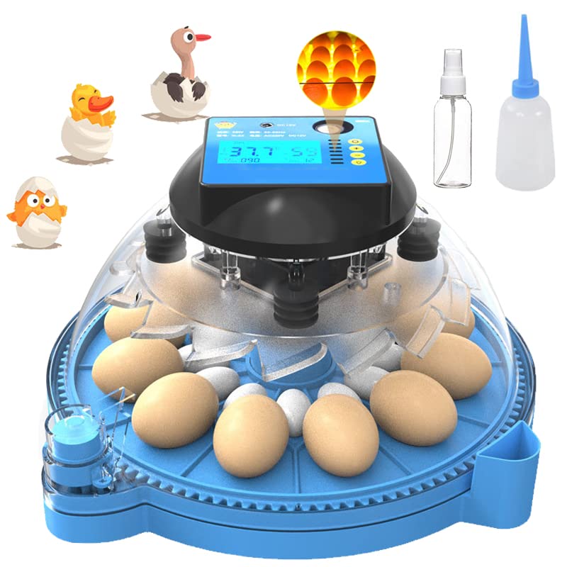 Nollapo 12-24 Egg Incubator with Automatic Egg Turner, Digital Temperature & Humidity Display, Built-in Egg Candler - Perfect for Chicken, Duck, Quail Eggs - Ideal for Home Poultry Farming & Hatching Projects