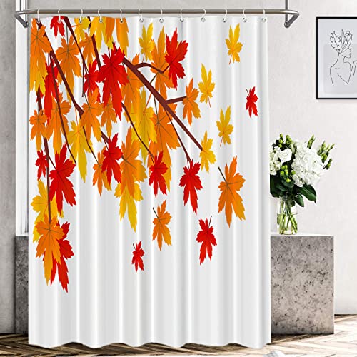Autumn Natural Scenery Orangea