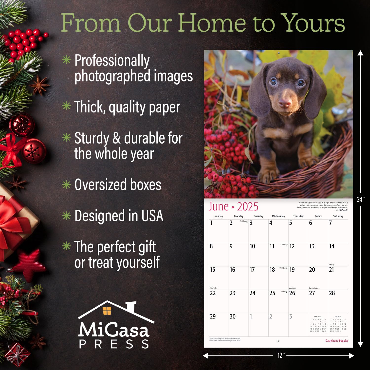 **MICASA PRESS - 2025 Dachshund Puppies Wall Calendar | 12