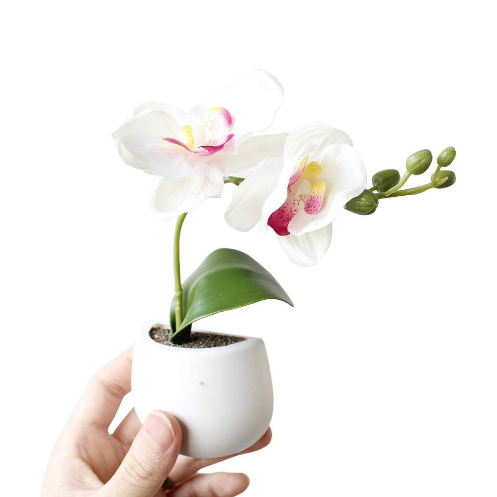 Simulated Bouquet Flower Fridge Magnet - Decorative Succulent Plant Sticker for Home, Kitchen & Office (1pc) | Perfect for Refrigerator, Whiteboard & Metal Surface Decor