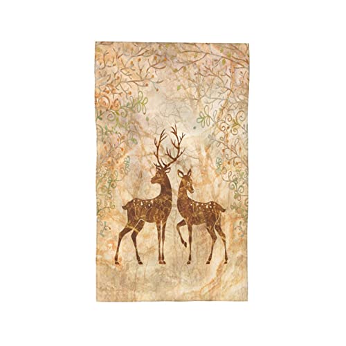 Deer