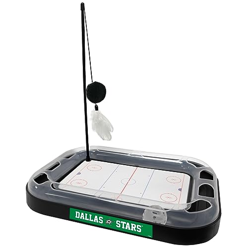 Dallas Stars