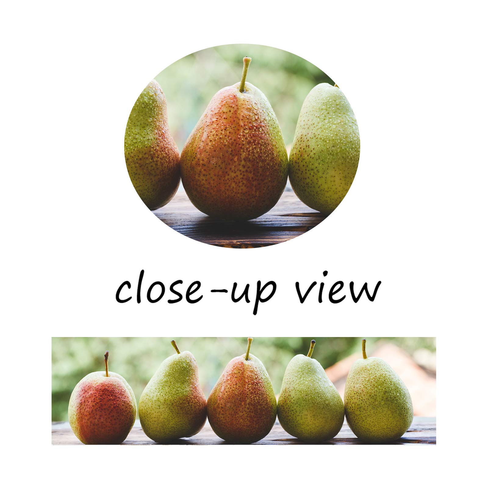 GUTTATY Pear Fruit Canvas Wall Art - 28