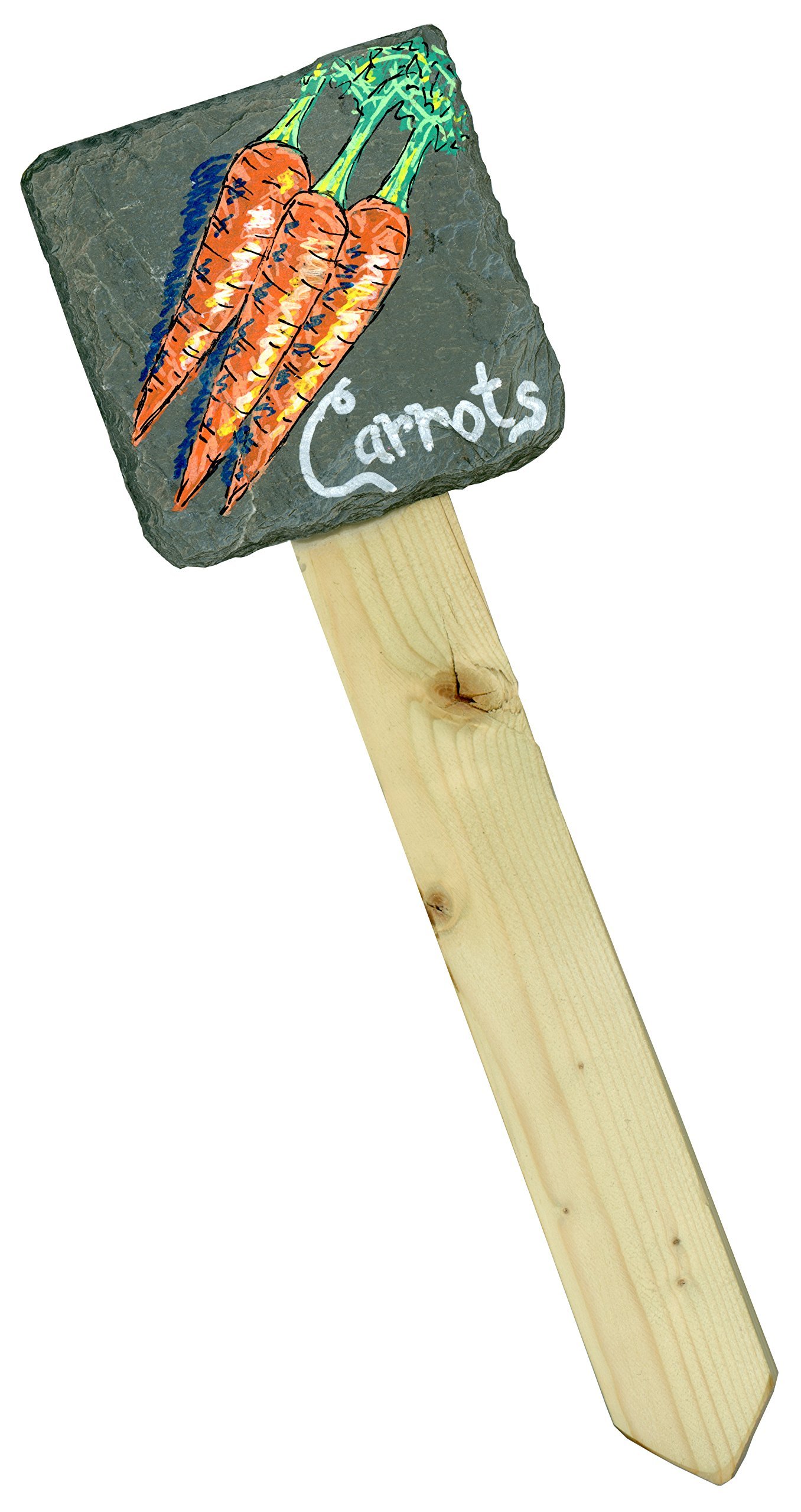 Hand-Painted Slate Garden Stakes with Chalk Art Carrots - Outdoor Decor for Vegetable Gardens, Flower Beds & Yard Landscaping