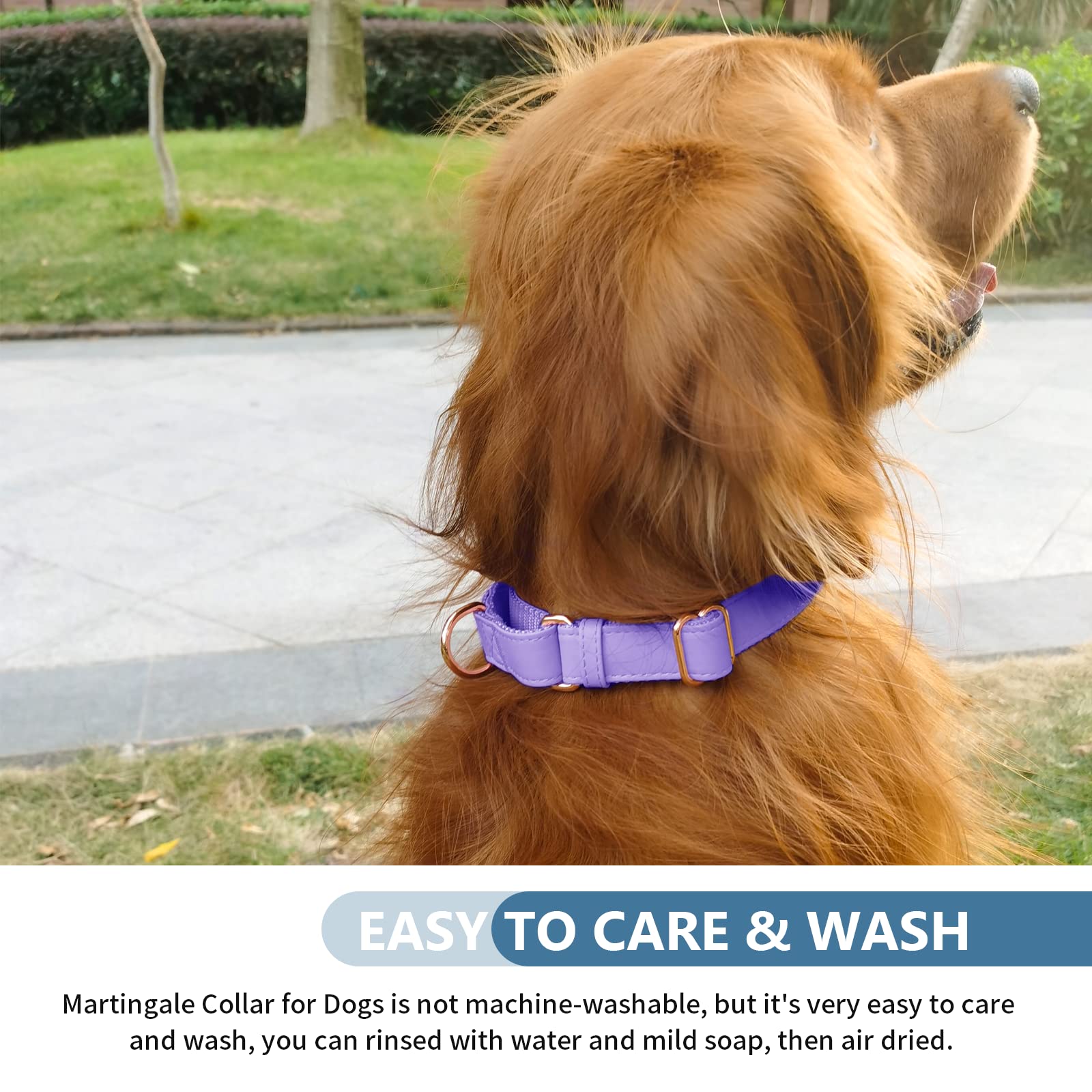 Premium Soft Leather Martingale Dog Collar - Adjustable Rose Gold Slip Collar for Small Medium Large Dogs | No-Pull Training Collar with Durable Nylon Lining | Easy to Clean & Stylish XS Purple | Perfect for Daily Walks, Training Sessions & Outdoor Adventures