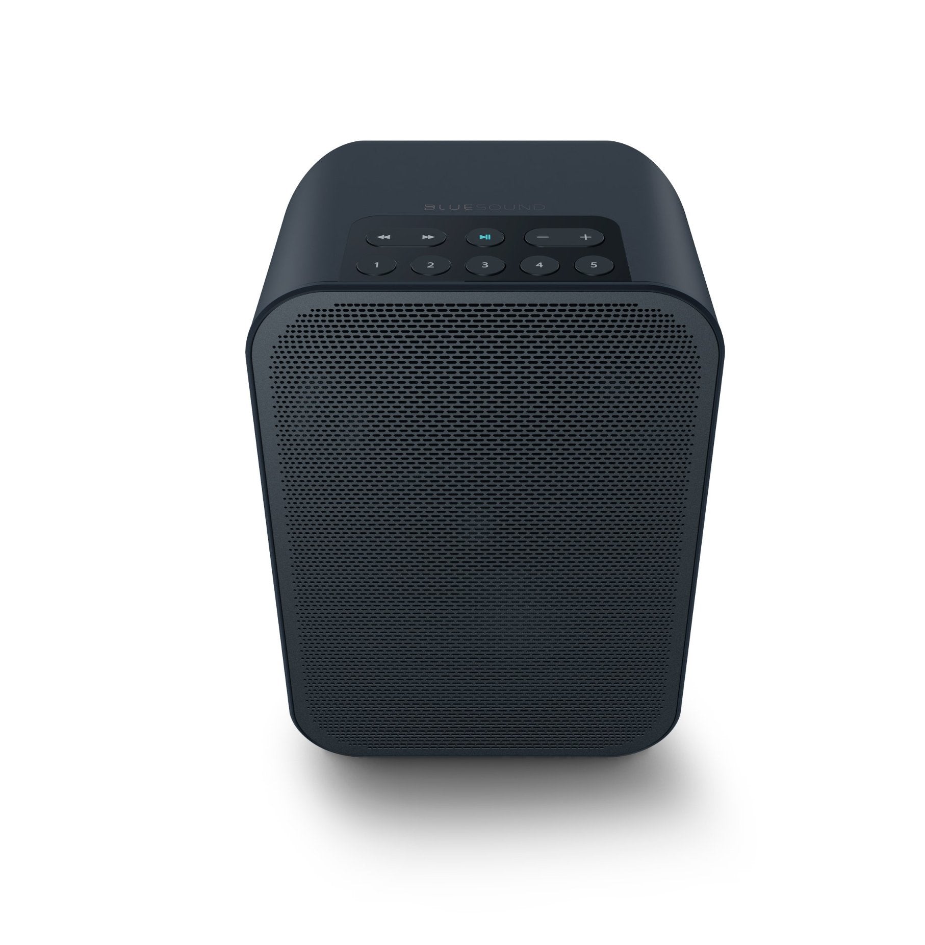 Bluesound PULSE FLEX 2i Wireless Bluetooth Speaker - Portable Hi-Fi Audio for Home, Office & Outdoor Use