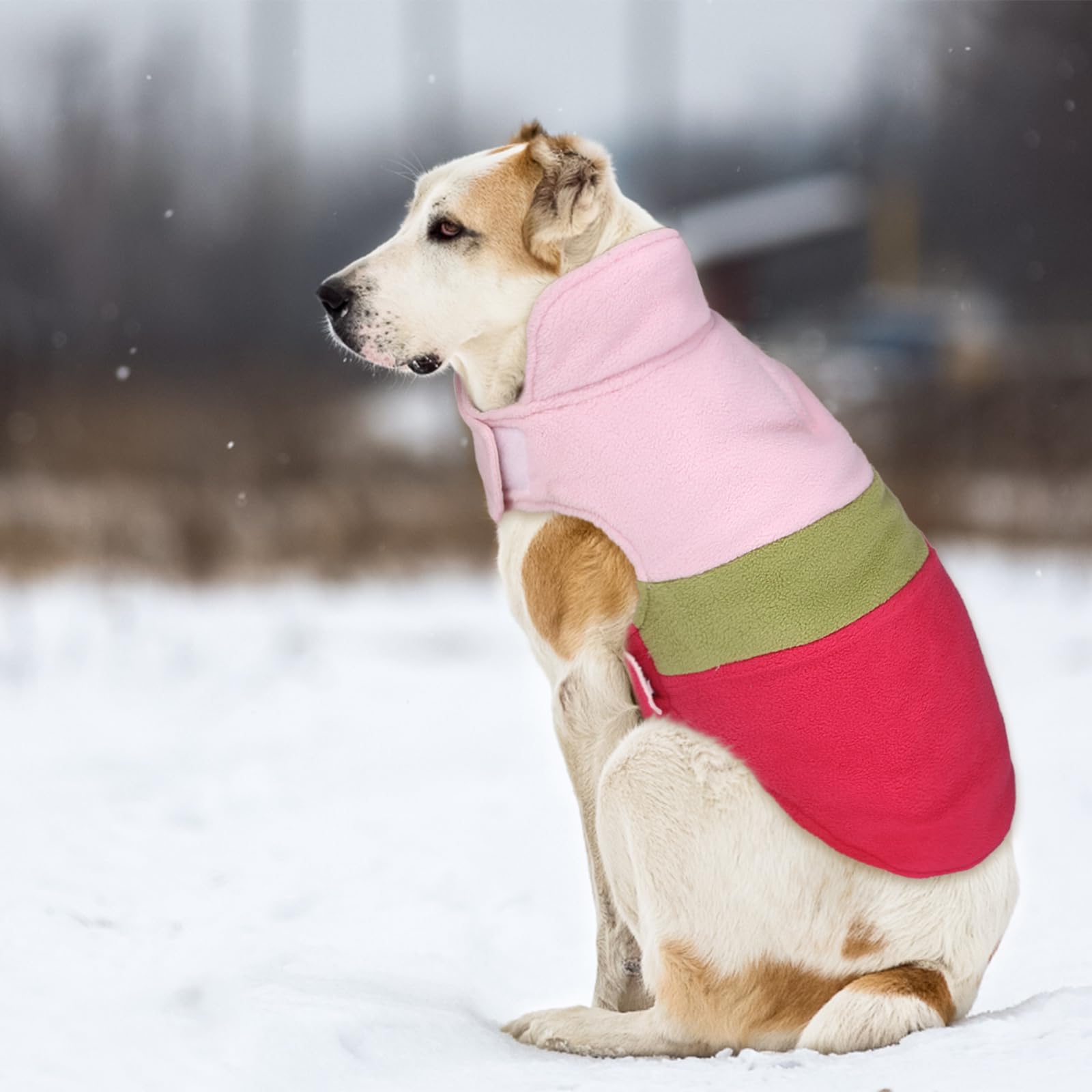 ASENKU Reversible Plaid Dog Winter Coat - Waterproof Dog Jacket Vest for Small, Medium & Large Dogs - Cold Weather Pet Apparel for Outdoor Walks & Winter Adventures
