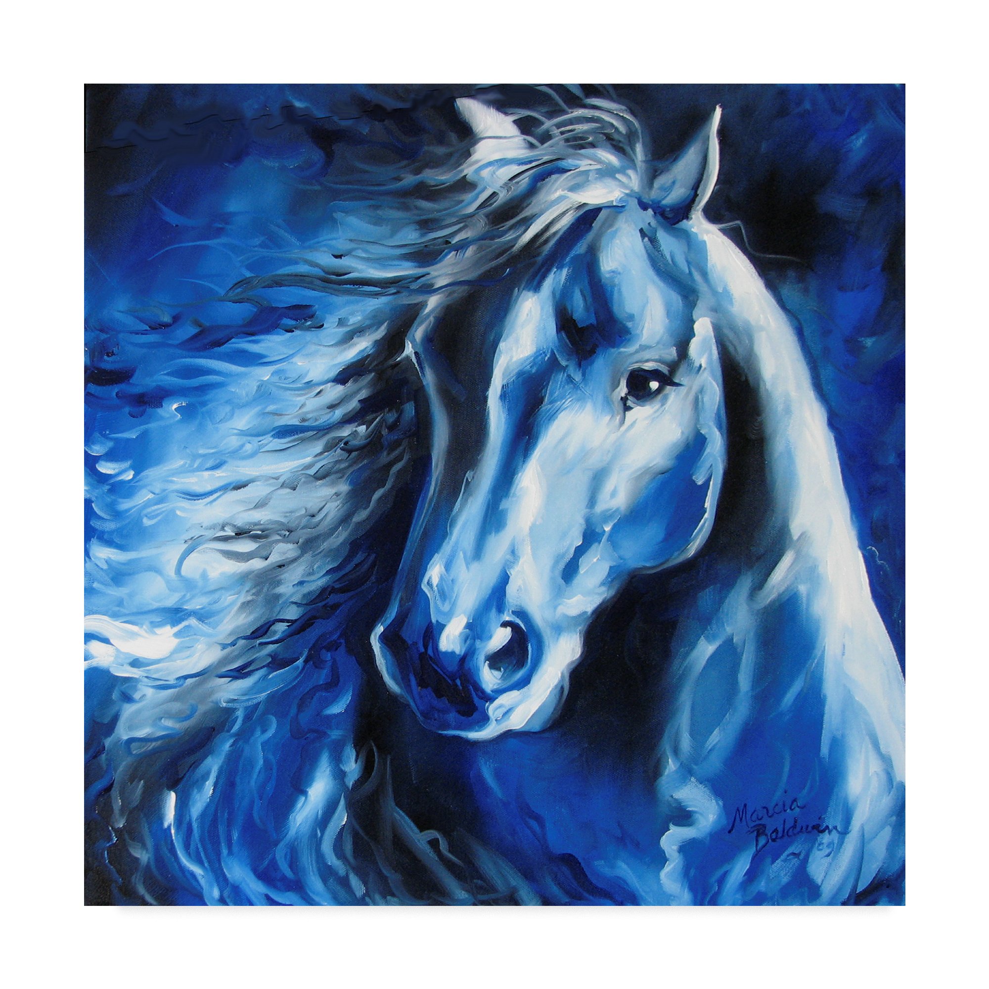 Trademark Fine Art Marcia Baldwin Multicolor Canvas Painting - Elegant Wall Decor for Living Room, Bedroom & Office