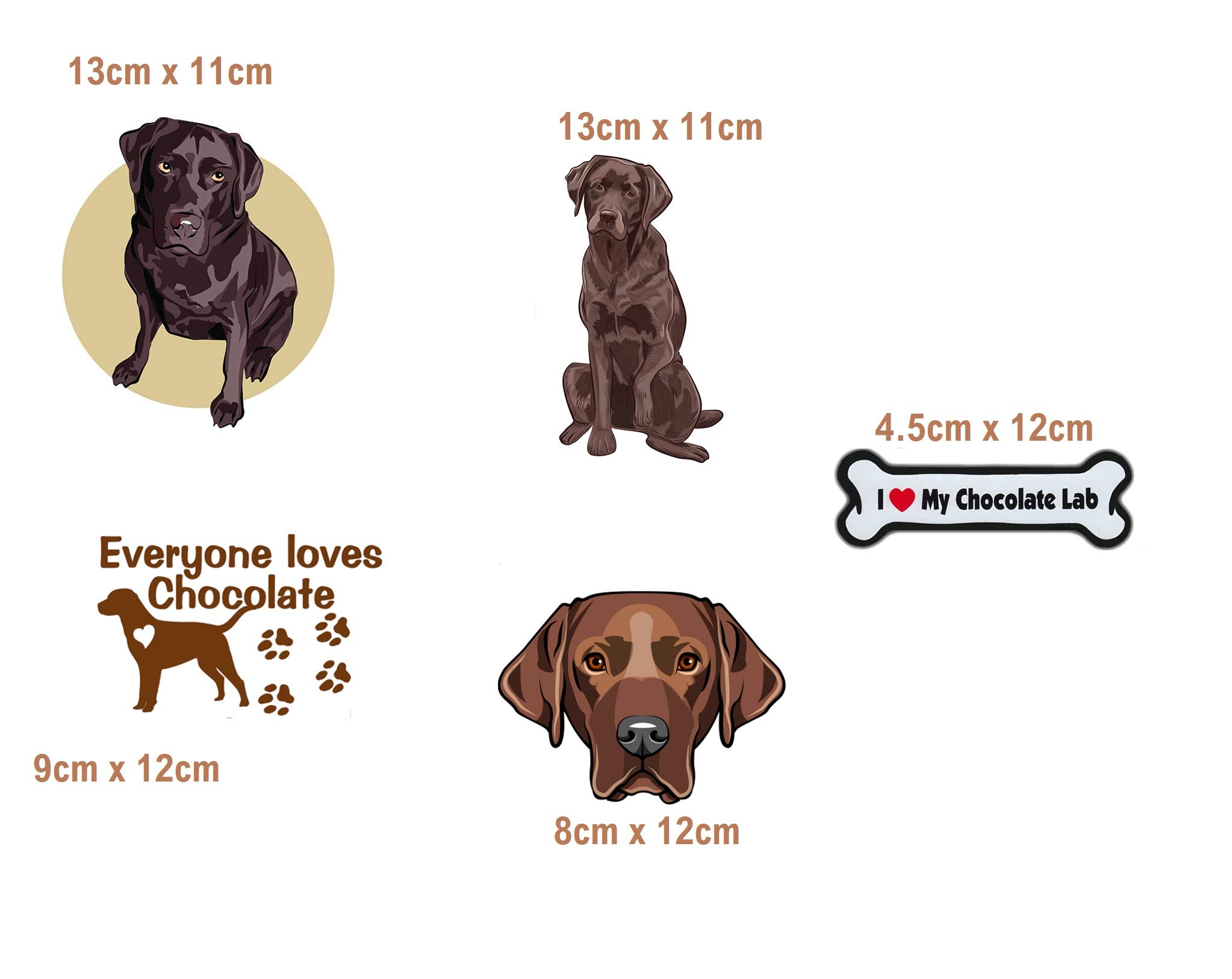 Chocolate Labrador Iron On Transfer Sheet - Custom Dog Apparel Decals for DIY T-Shirts & Gifts | Perfect for Pet Lovers, Dog Owners & Craft Enthusiasts