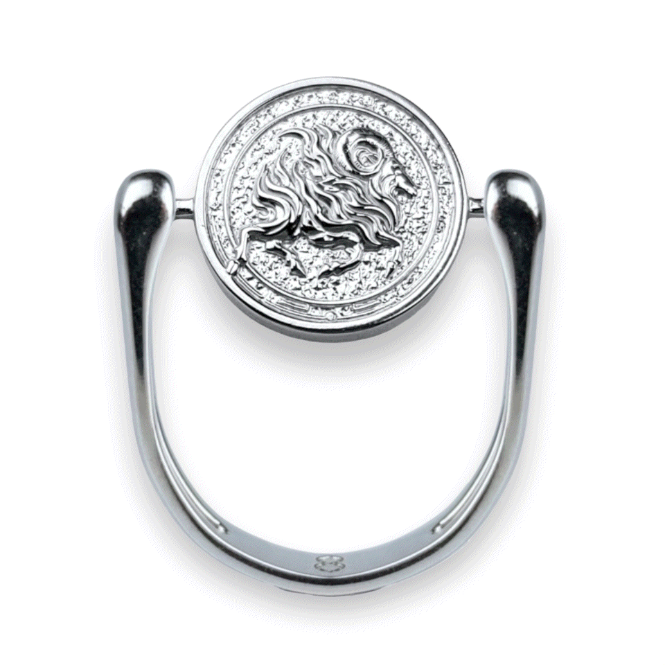 Stylish Silver Zodiac Fidget Ring for Anxiety Relief - Perfect for Stress Relief, Focus & Meditation | Astrology Jewelry Gift for Women & Men