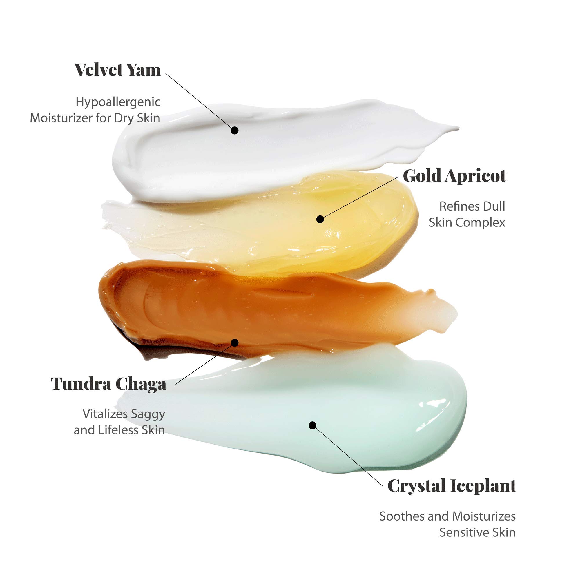 Blithe Pressed Serum Deluxe Collection - Hypoallergenic Korean Face Moisturizer with Chaga, Iceplant, Yam & Apricot - 4pc Box Set (0.74 Fl Oz Each) for Dry, Sensitive Skin - Day & Night Hydration for All Seasons