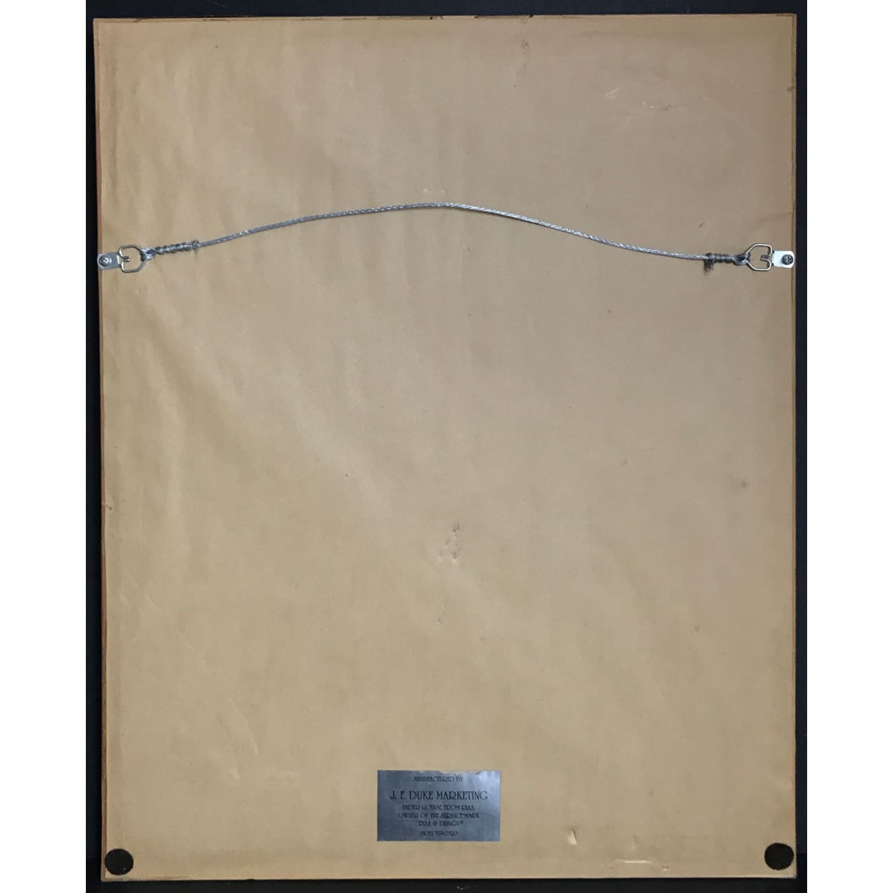 Jay Z Dead Presidents RIAA Gold Maxi Single Award - Rare Collectible Vinyl Record for Music Enthusiasts & Hip-Hop Memorabilia Fans - Perfect for Display, Gifts & Music Collections