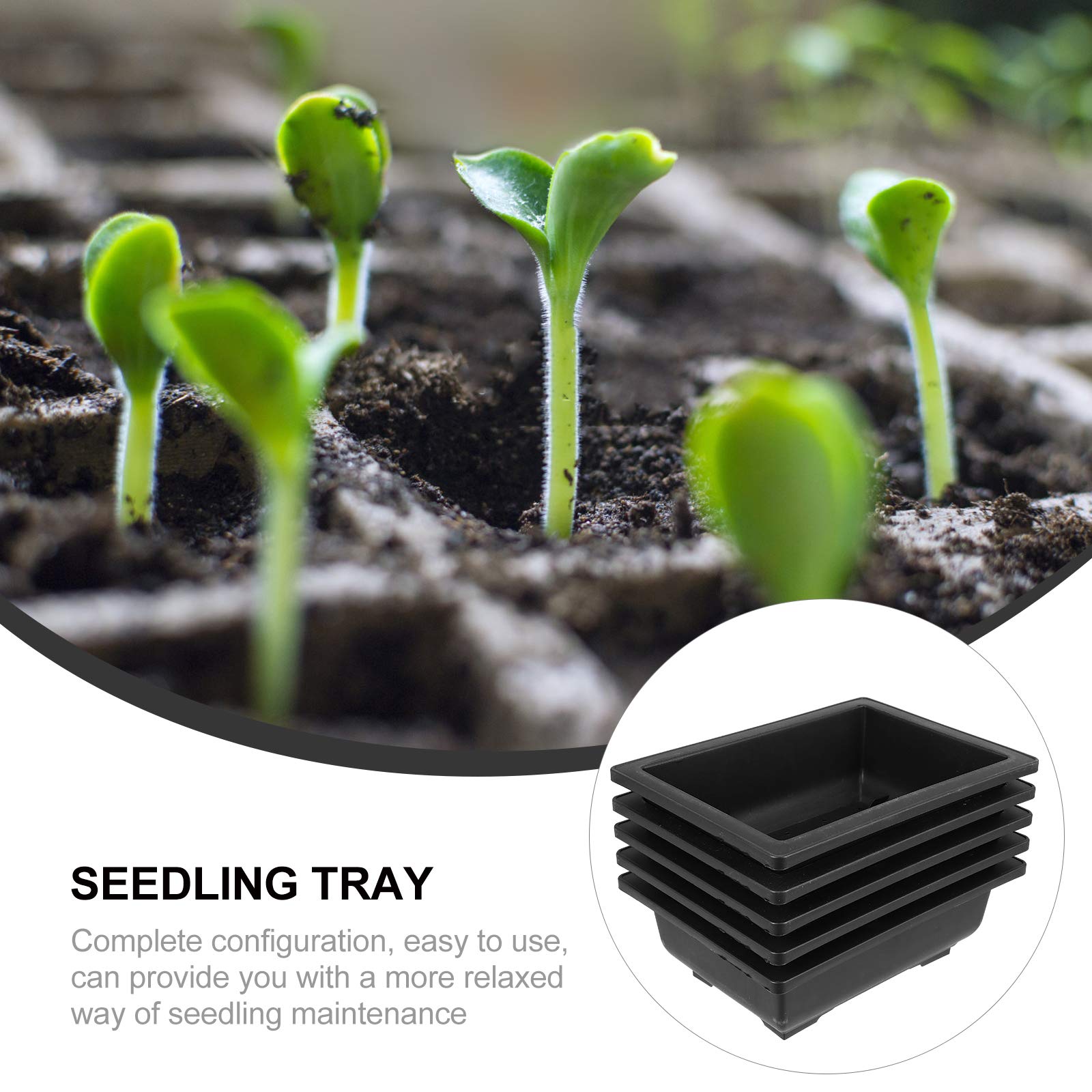5 Pack Plastic Seedling Pots for Succulents, Flowers & Plants - Small Garden Flower Pots with Drainage Holes, Indoor/Outdoor Plant Containers for Home Gardening, Balcony & Office Decor