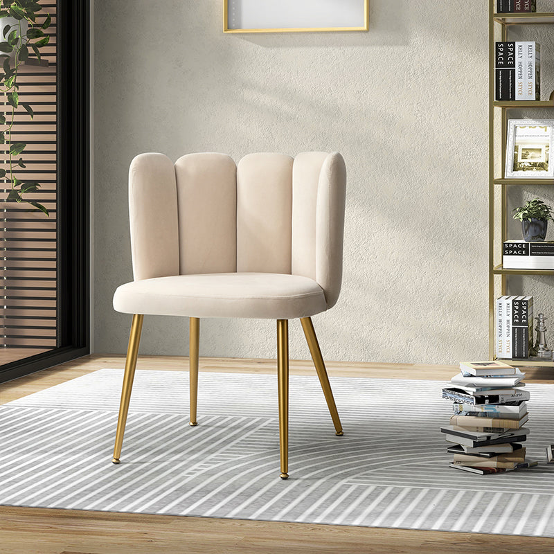 Elodia Side Chair - Modern Accent Chair for Dining Room, Living Room & Office - Sturdy Wooden Frame with Upholstered Seat - Perfect for Home Decor & Small Spaces