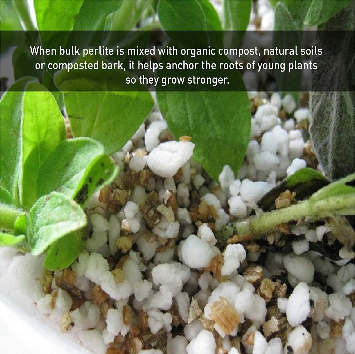 EasyGo Premium Horticultural Perlite Coarse Grade - 4 Cubic Feet (103 Quarts) - 3 Pack for Indoor/Outdoor Plants, Gardening, Hydroponics & Soil Aeration - Ideal for Houseplants, Succulents & Seed Starting