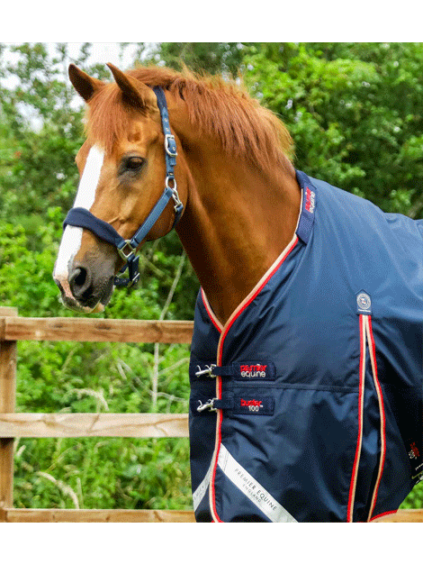 Premier Equine Buster 100g Turnout Rug with Neck Cover - Waterproof & Breathable Horse Blanket for Winter Turnout & Stable Use