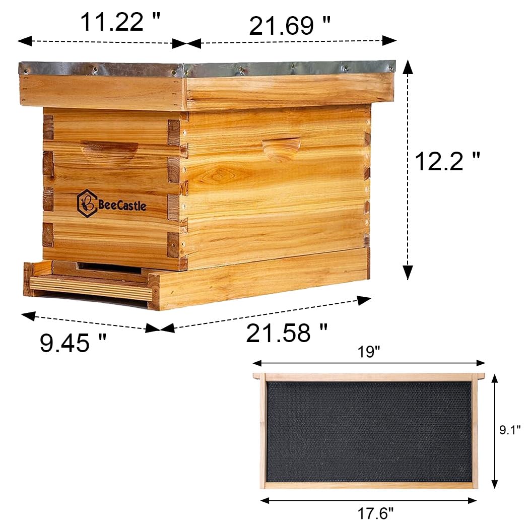 BeeCastle 5 Frame Bee Hive Nuc Box - 100% Beeswax Coated with Frames & Waxed Foundations | Starter Kit for Beekeeping, Honey Production & Pollination Gardens