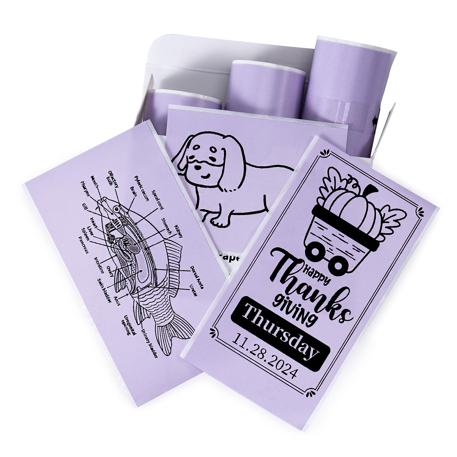 Memoking T02/M02X/M02L Sticker Paper Refill - 50mm x 3.5m Purple Adhesive Mini Printer Sticker Rolls, Lasts 20 Years | Perfect for Journaling, Photo Albums, Study Notes & DIY Crafts (3 Rolls Pack)