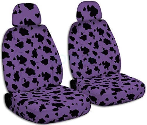 Purple Cow