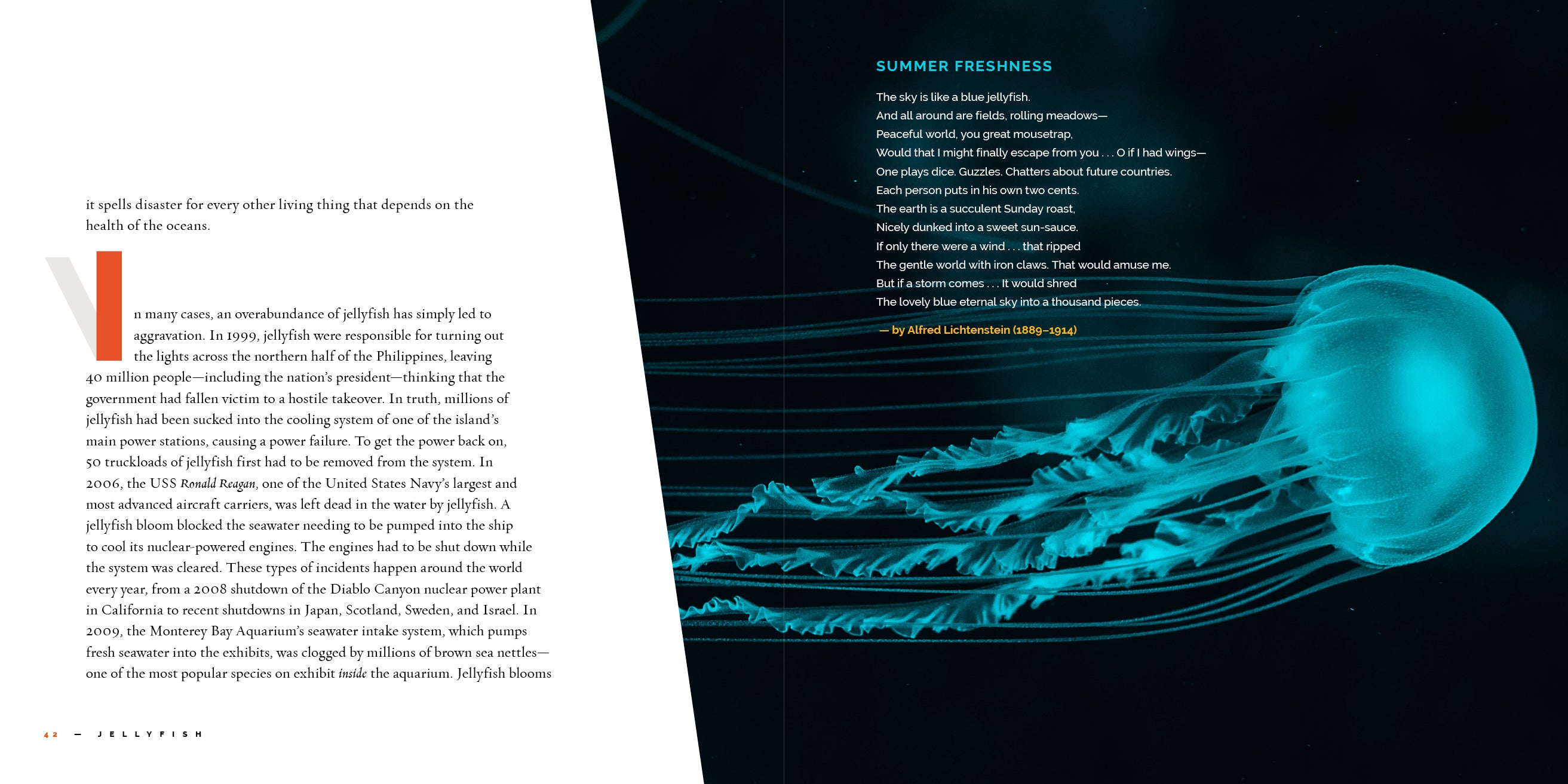 Jellyfish Book 9781640267893 - Marine Life Guide, Ocean Creatures Encyclopedia | Perfect for Marine Biology Students & Ocean Lovers