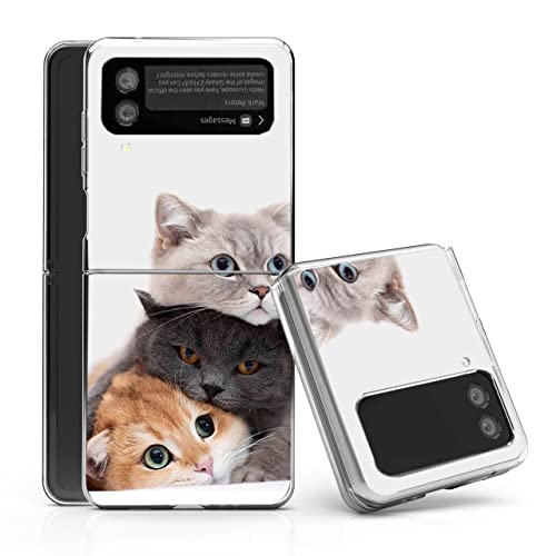 Lying Cute Cats
