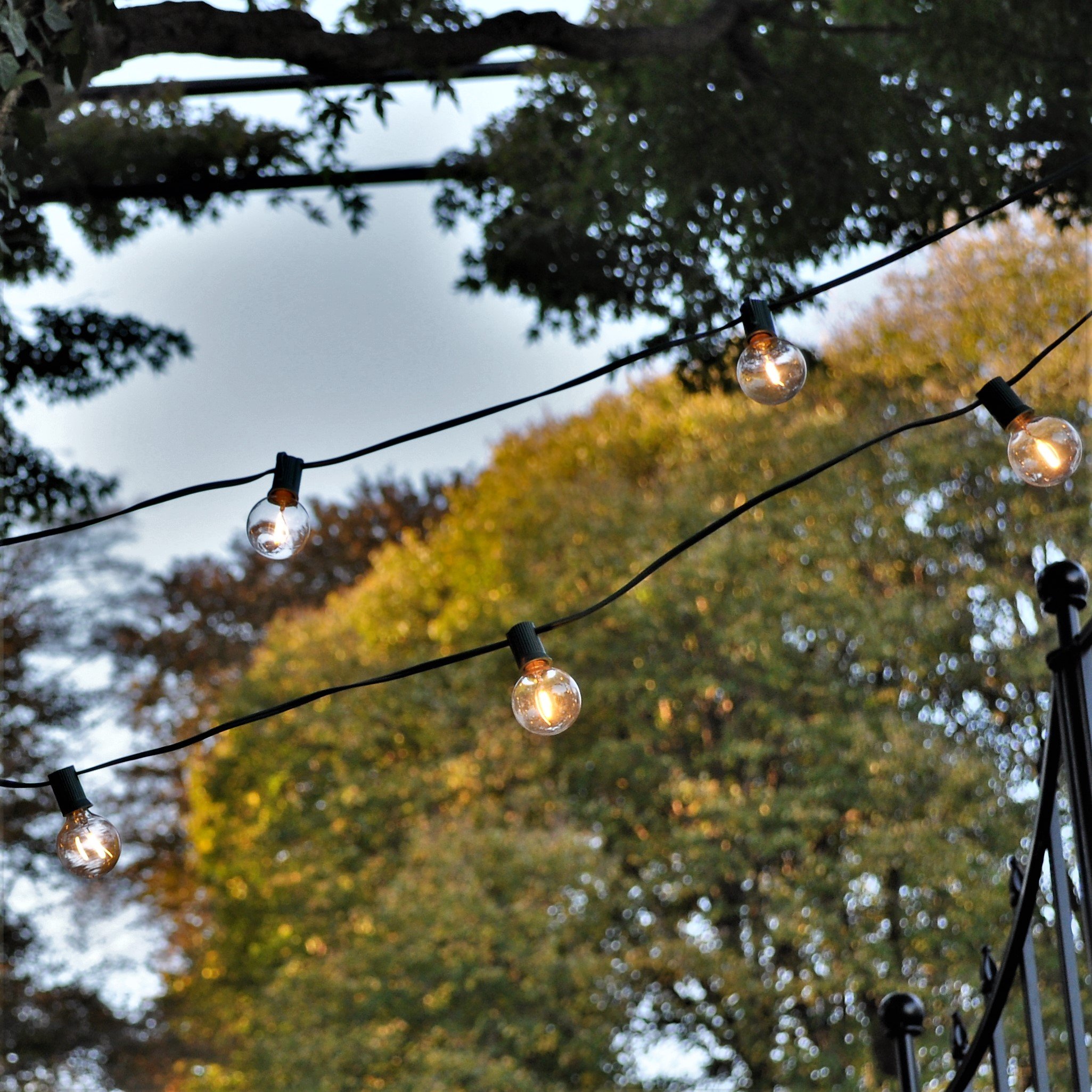 G40 LED Warm White Outdoor String Lights - 100ft Black Wire with 0.6W Bulbs for Patio, Garden, Backyard & Party Decor | Weatherproof & Energy Efficient Lighting