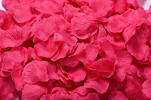 Shocking Pink