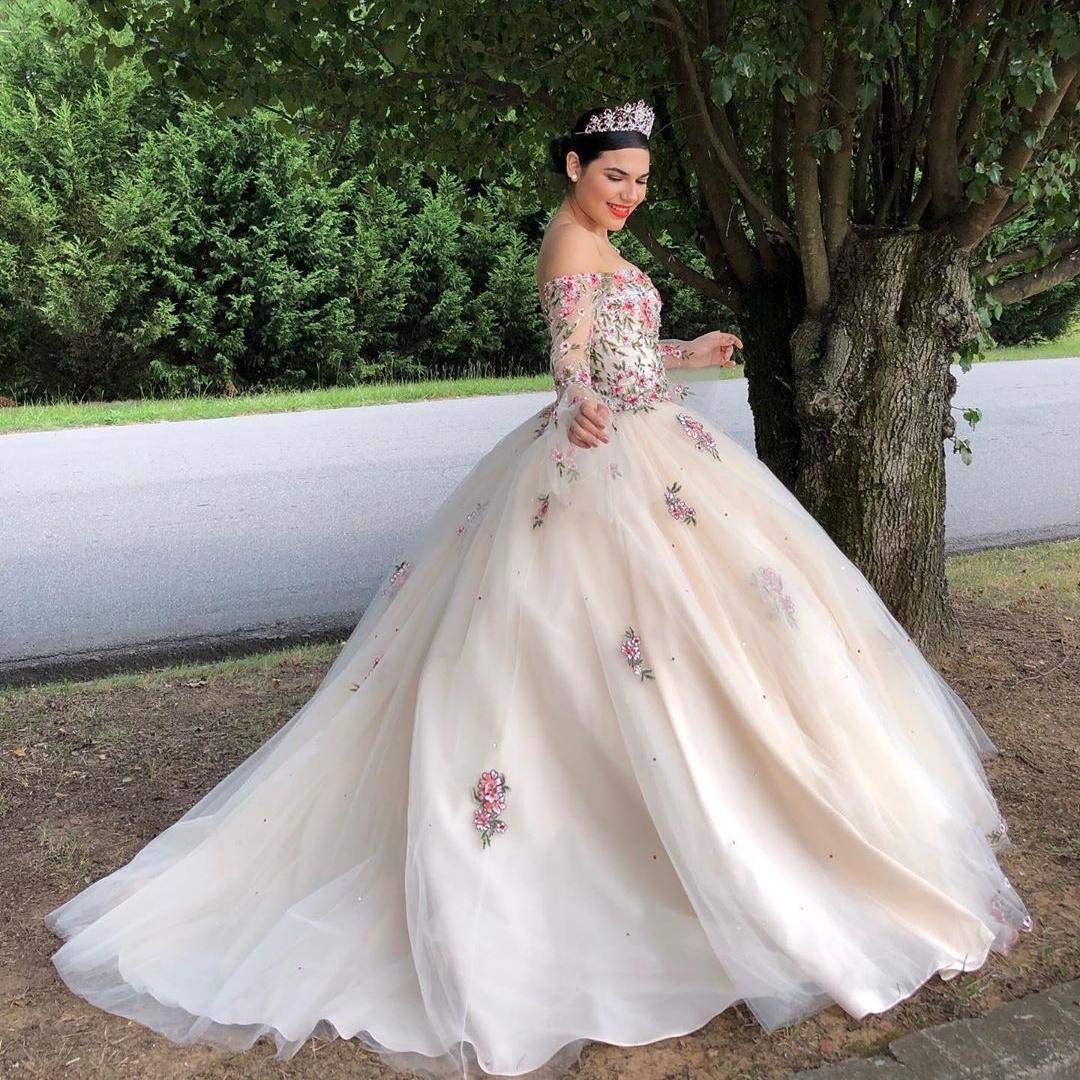 Emanni Women's Elegant Embroidery Quinceañera Dress - Ivory Tulle Sweet 15 Gown for Teen Girls | Perfect for Quinceañera Celebrations, Birthday Parties & Special Occasions