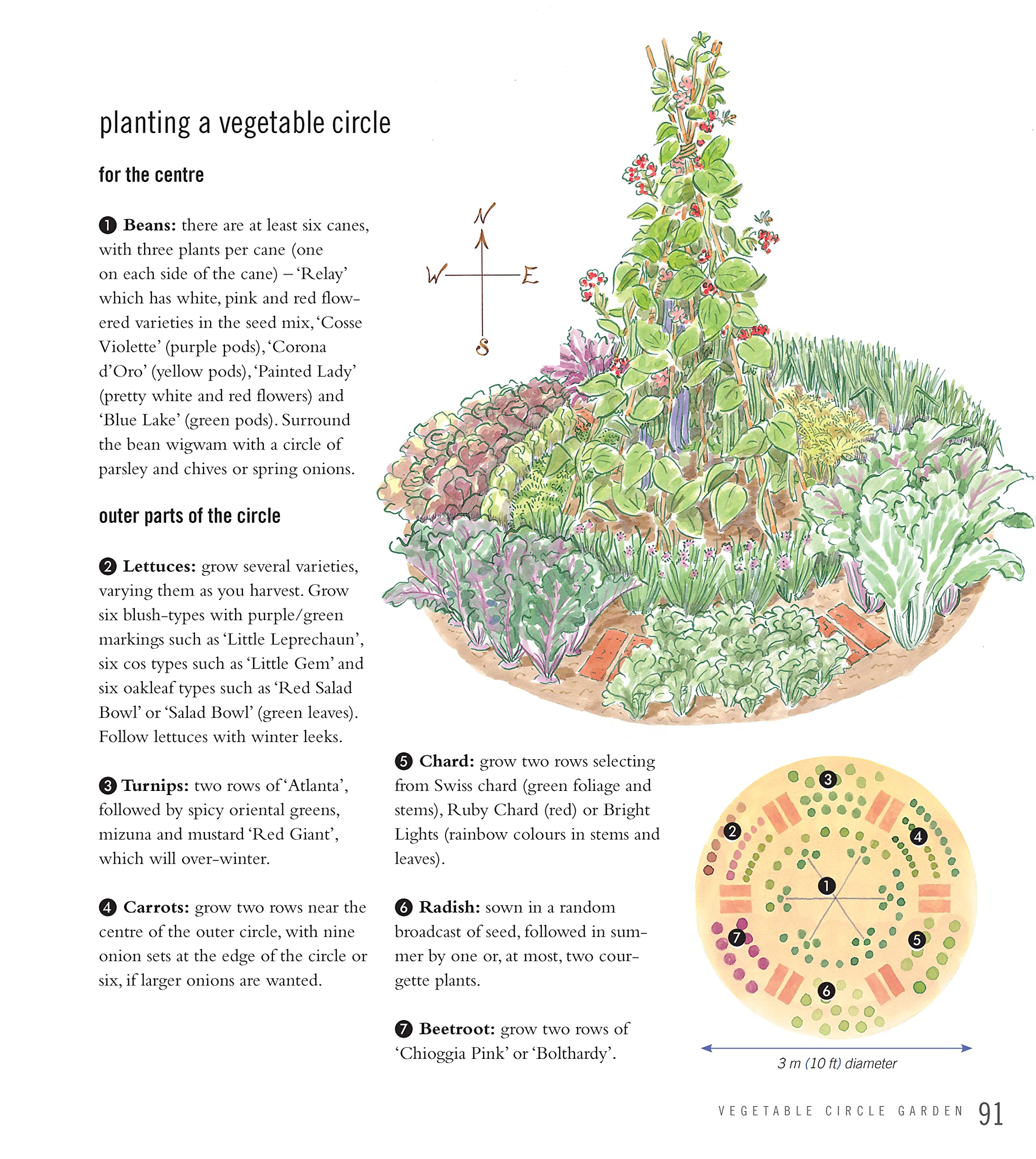 Best Vegetables & Herbs for Small Gardens - Easy to Grow at Home | Perfect for Urban Balconies & Patios