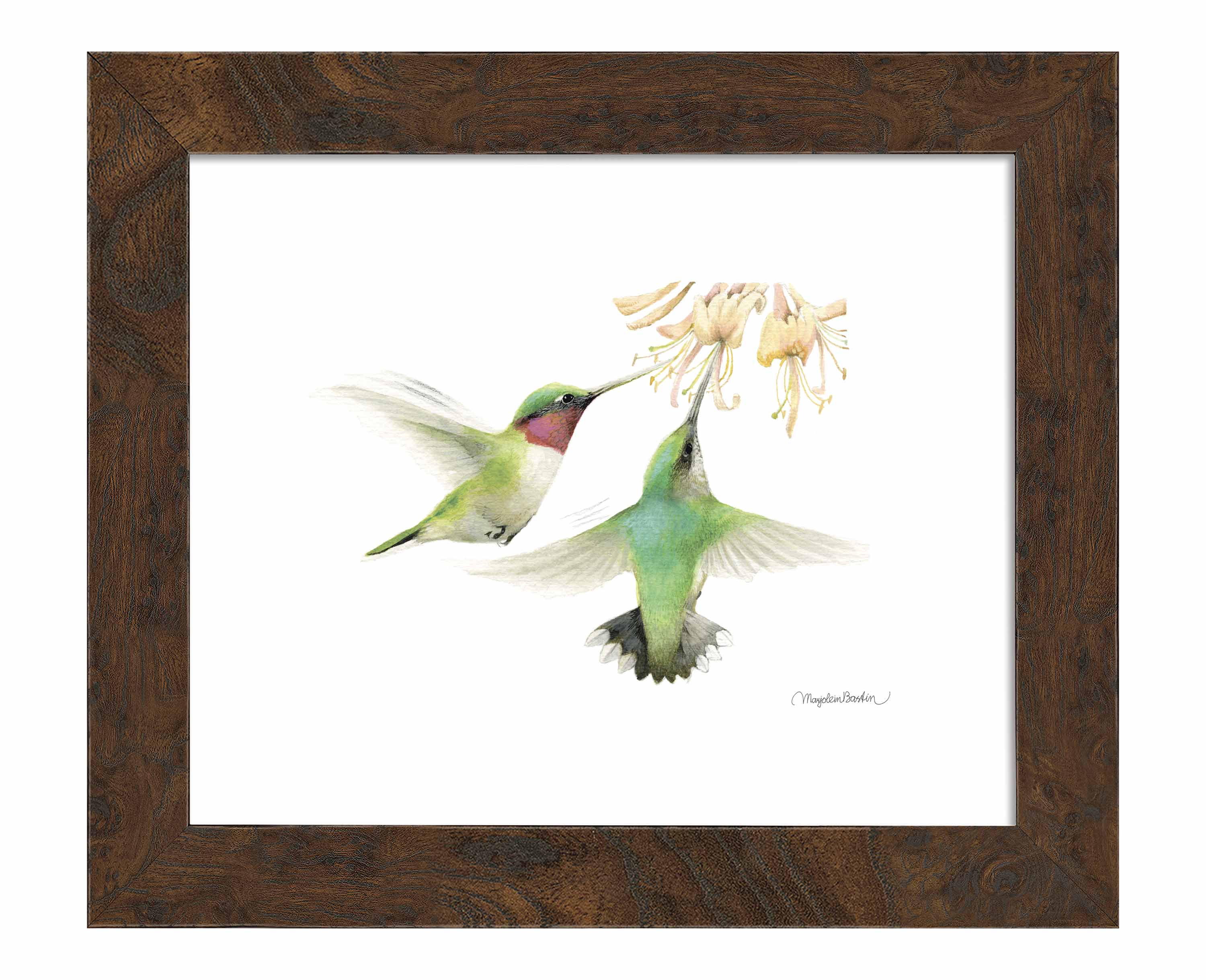 Honeysuckle Appeal Art Prints - Vibrant Floral Wall Decor for Living Room, Bedroom & Office | High-Quality Canvas & Framed Options