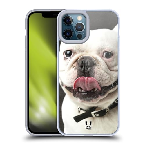 Tongue Out Bulldog