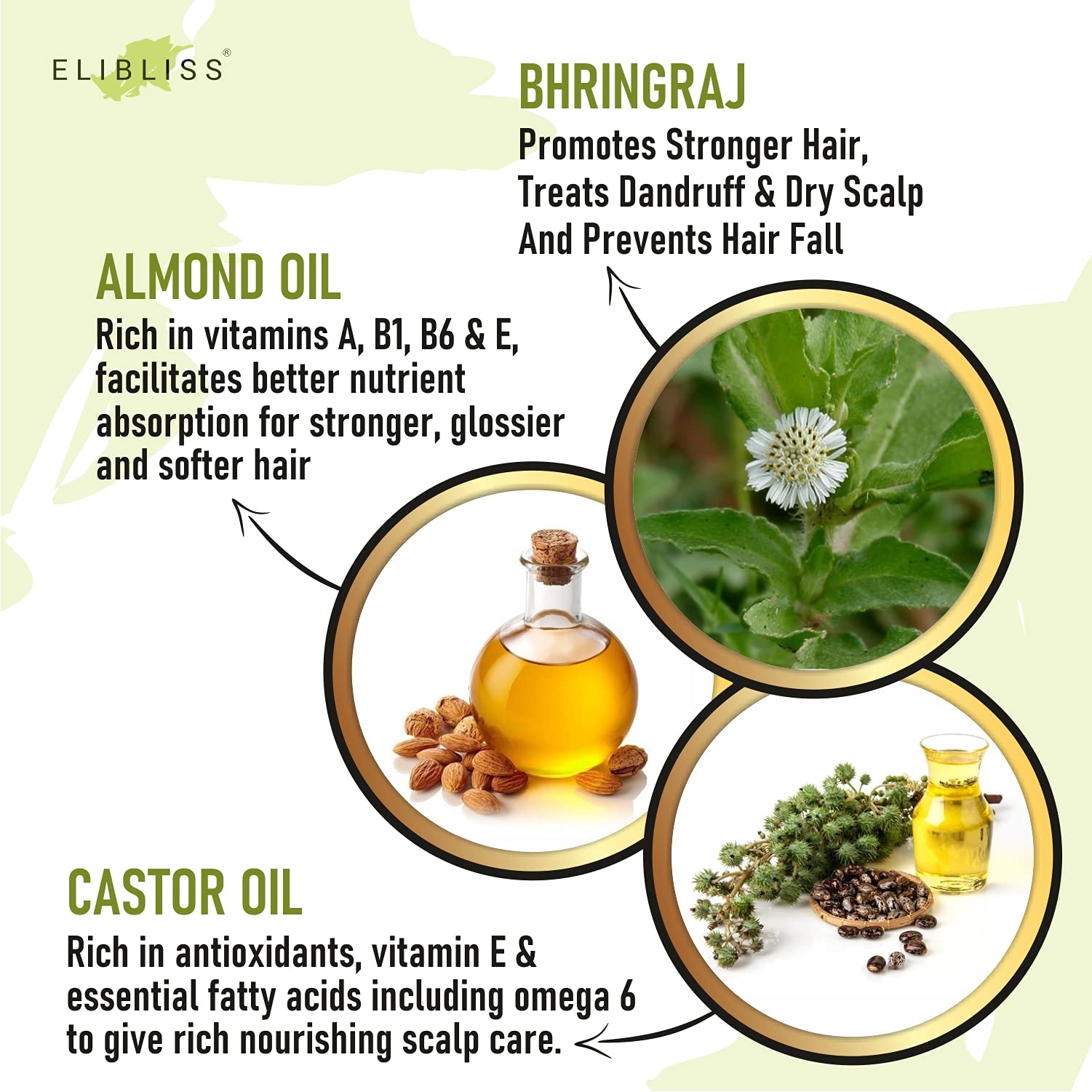 Elibliss Bhringraj Hair Oil with Comb Applicator - 100ml (Pack of 3) for Healthy, Voluminous & Smooth Hair Growth | Ayurvedic Hair Treatment for Dry Scalp, Split Ends & Hair Fall | Perfect for Daily Hair Care Routine & Scalp Massage