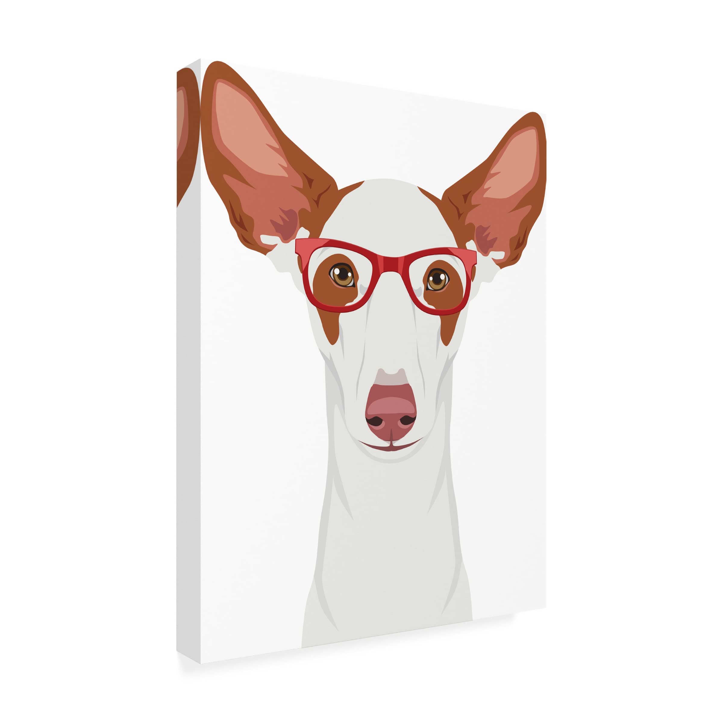 Trademark Fine Art 'Ibizan Hound Wearing Hipster Glasses' Canvas Wall Art Print - Modern Dog Portrait for Living Room, Bedroom & Office Decor
