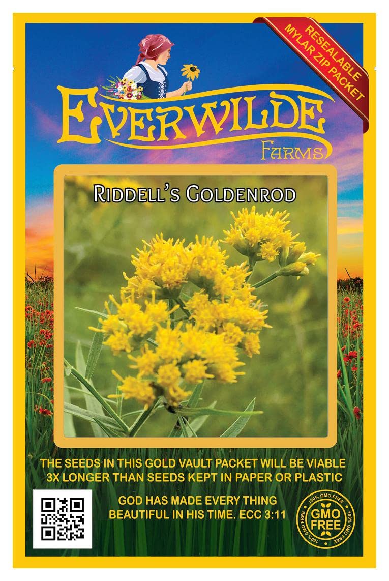 Everwilde Farms - 2000 Riddell's Goldenrod Native Wildflower Seeds - Gold Vault Seed Packet for Pollinator Gardens & Natural Landscaping