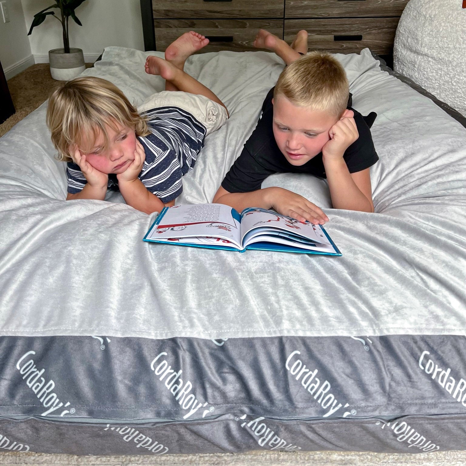 Waterproof Queen Size Bean Bag Cover - Durable & Spill-Proof Protection for Indoor/Outdoor Use - Perfect for Living Room, Patio, or Kids' Play Area
