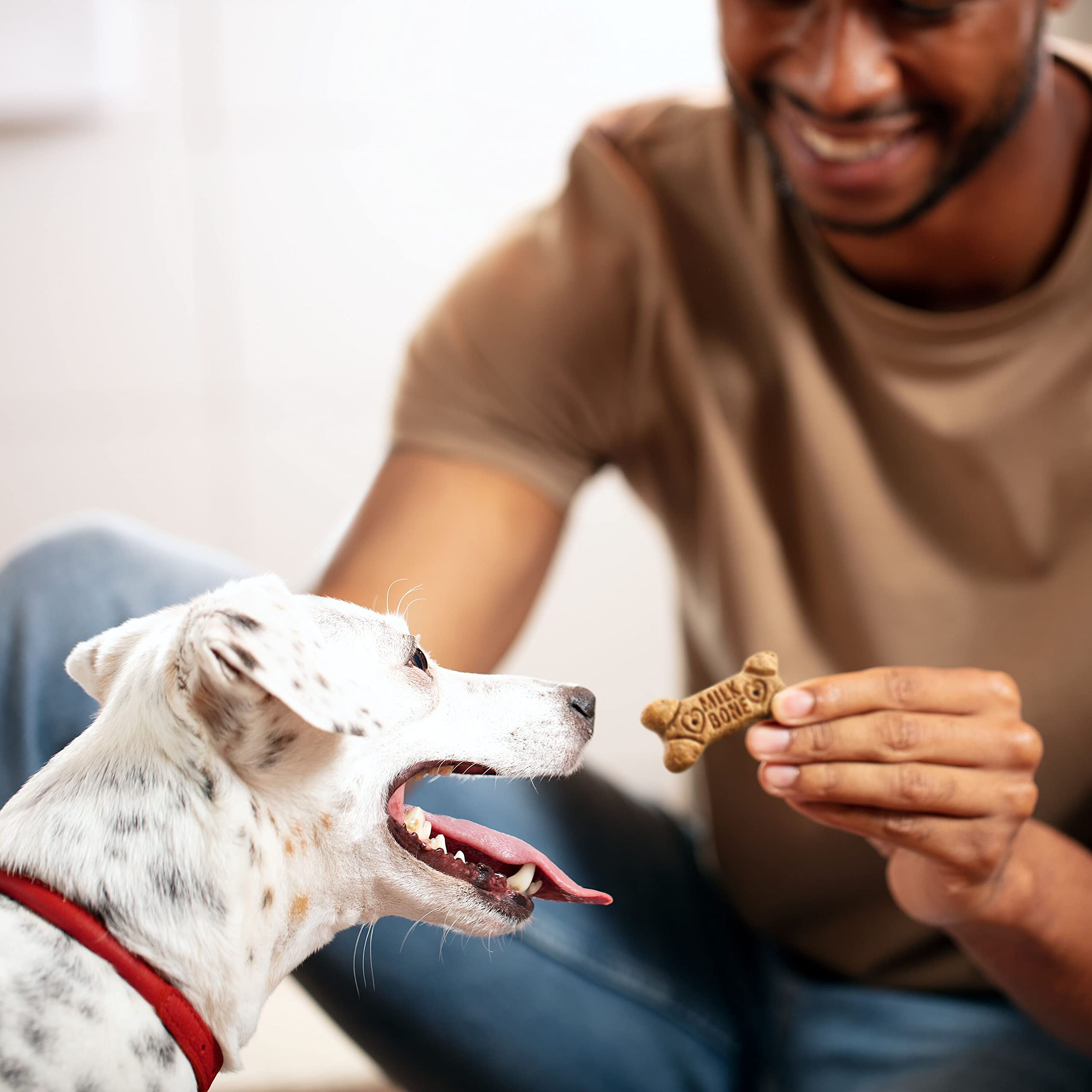 Milk-Bone Flavor Snacks Small Dog Biscuits - Crunchy Dog Treats for Small Breeds, 7lb Box - Perfect for Training, Rewards & Dental Health